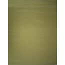 Schiebevorhang apfelgrün uni 50x255cm