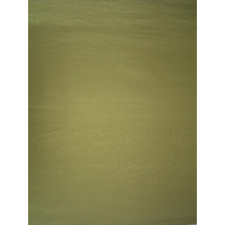 Schiebevorhang apfelgrün uni 50x180cm