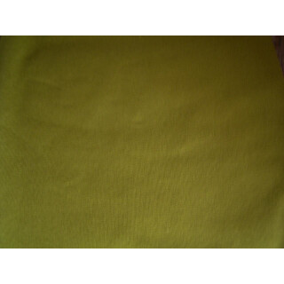 Reststück Jerseystoff apfelgrün uni 50 x 160cm