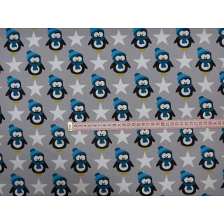 Pinguin Stern grau Baumwolljersey