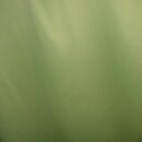 Verdunklungsstoff hellgrün dimoutThermoeffekt Gardinen